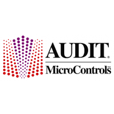 AUDIT MicroControls, Inc